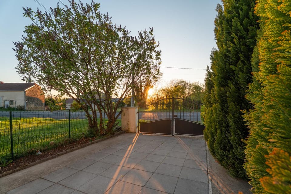 Spring, Garden, Sunset