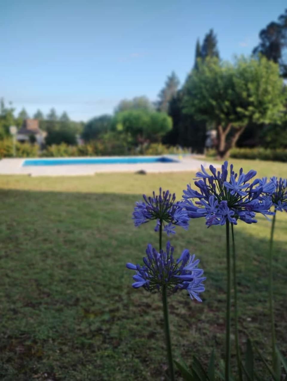 Cabañas La Casita de Fran Chalet in Cordoba Province