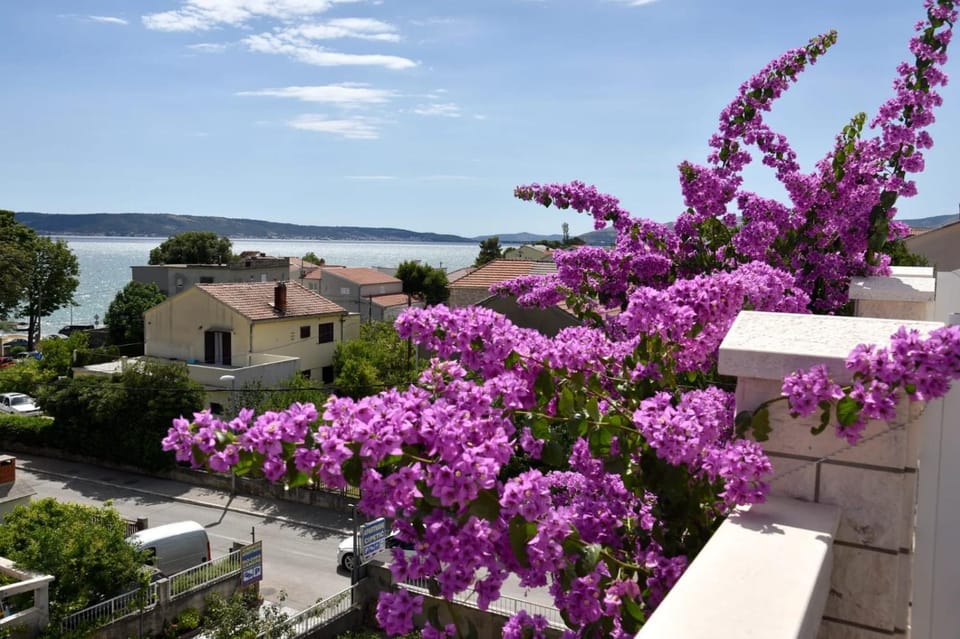 Property building, Spring, Day, Natural landscape, Garden, Garden view, Sea view