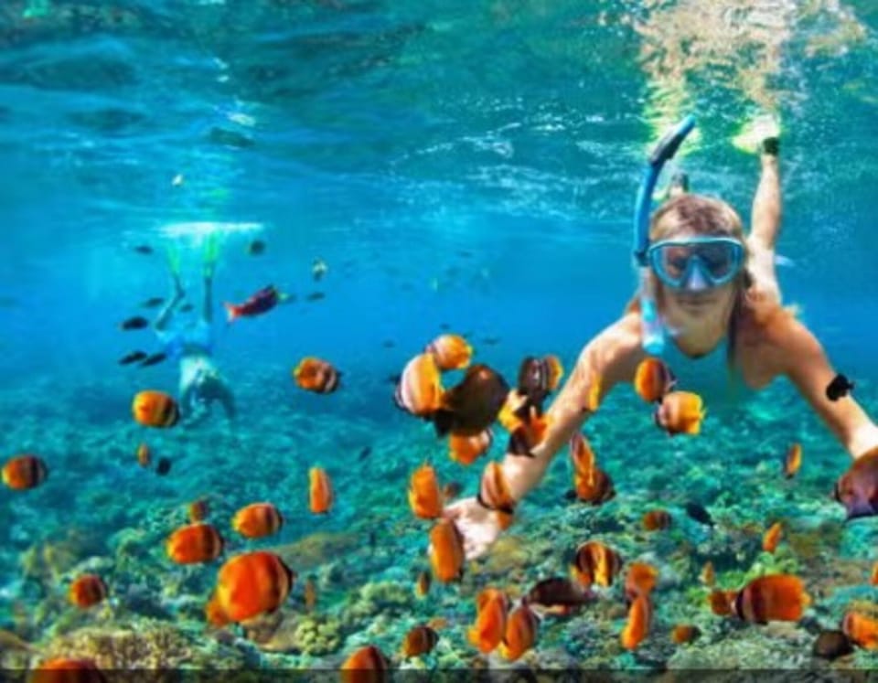 Natural landscape, Activities