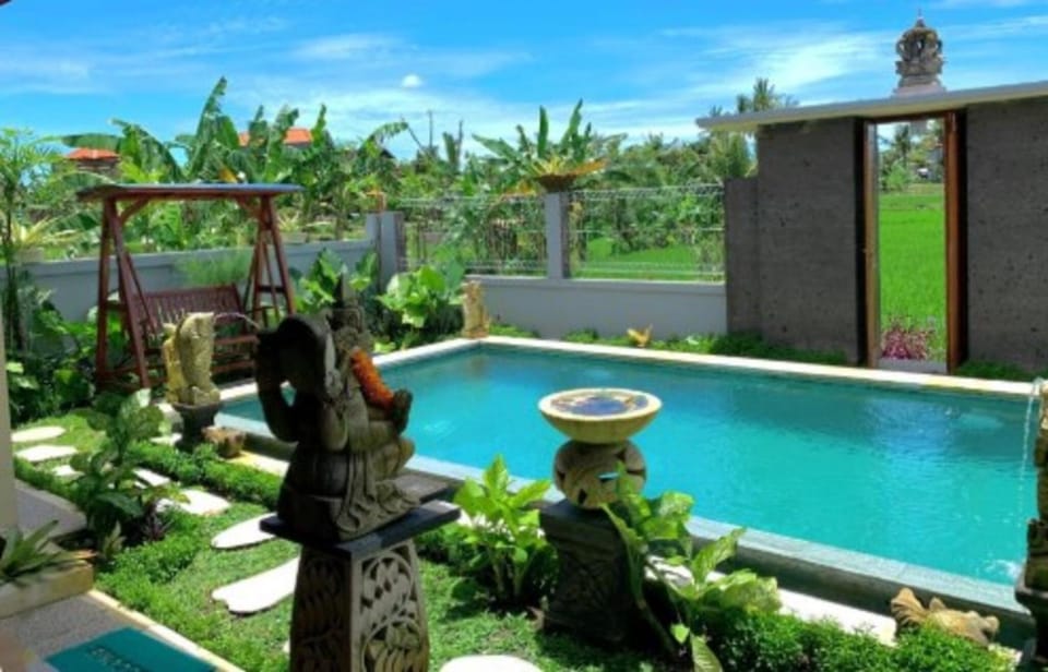 Spring, Day, Garden, Garden view, Pool view, Swimming pool, Swimming pool, sunbed