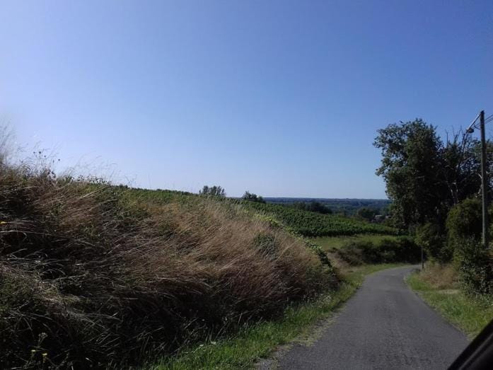Day, Neighbourhood, Natural landscape