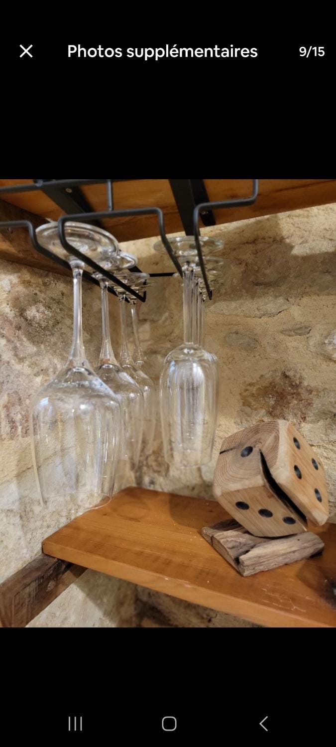 Le petit bourguignon Apartment in Dijon