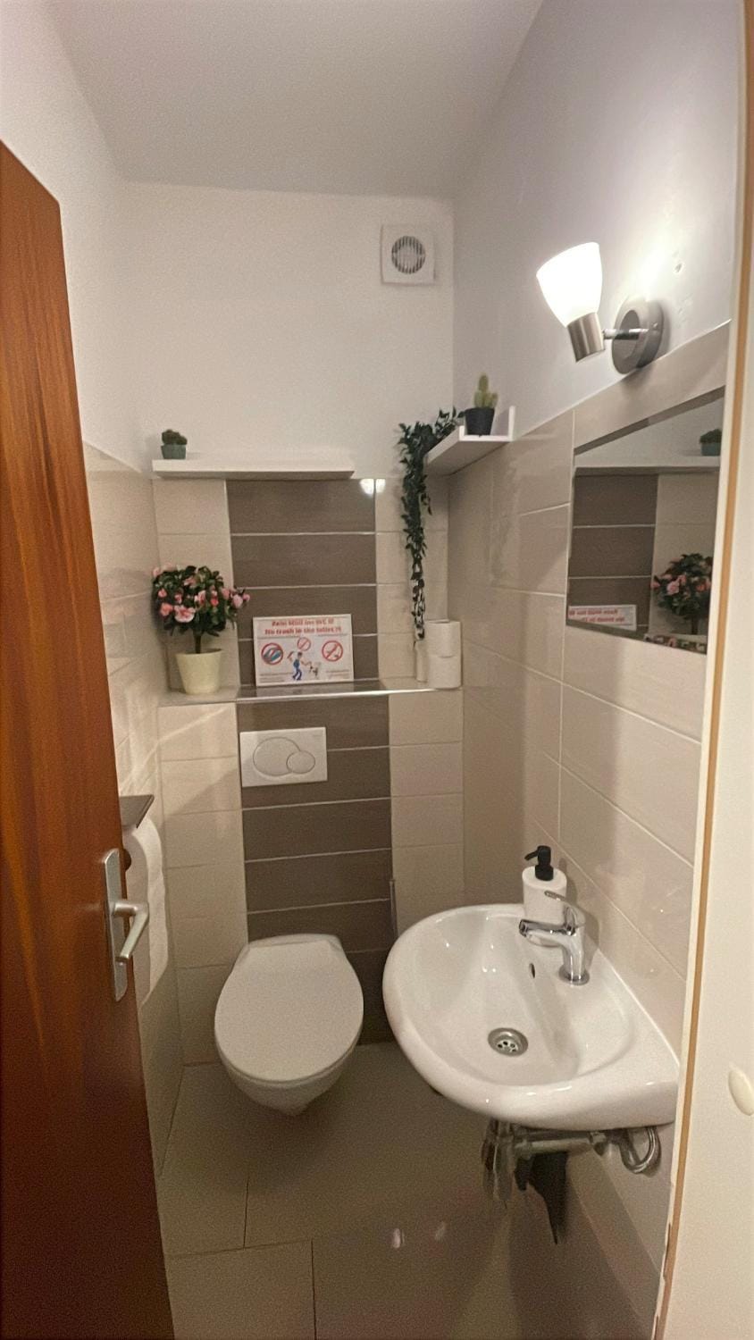 Toilet, Bathroom, towels