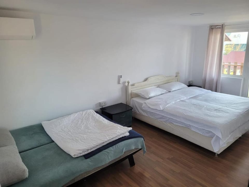 Lake Surduc house for rent House in Timiș County