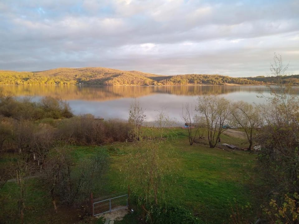 Lake Surduc house for rent House in Timiș County