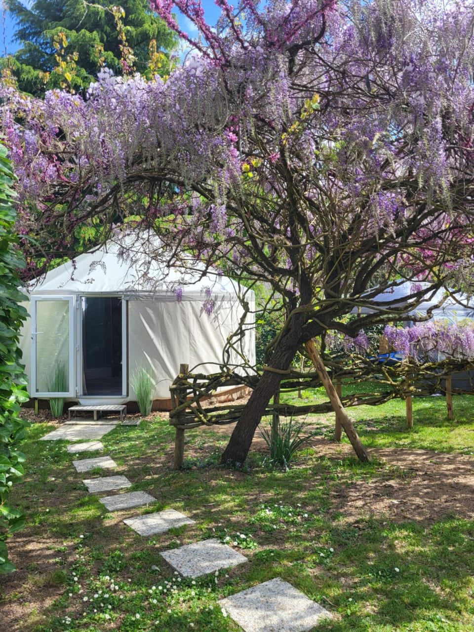 Natural landscape, Garden