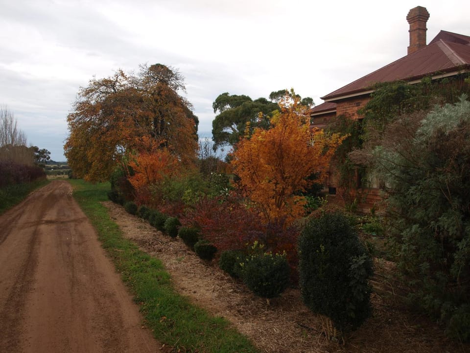 Garden, Autumn