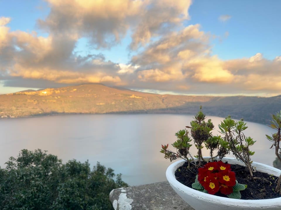 Lake view
