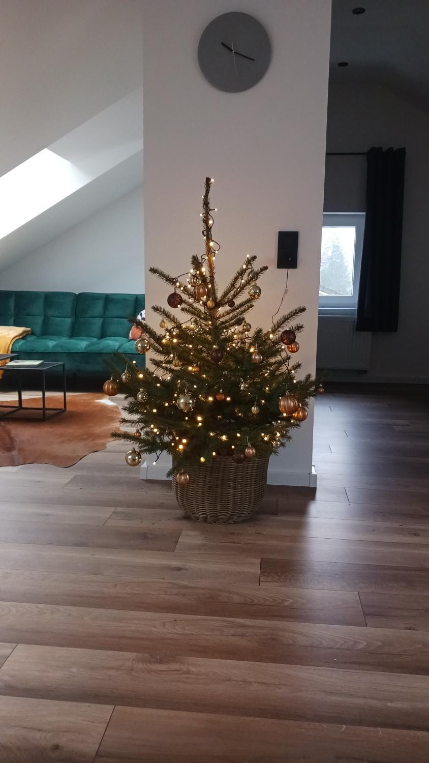 Ferienhaus am Wald Apartment in Rhineland-Palatinate