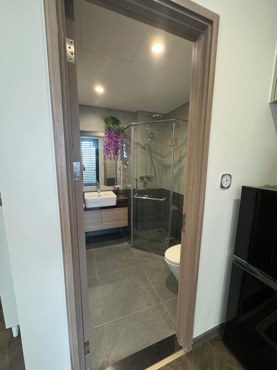 Thỏ Homestay Apartment in Vietnam
