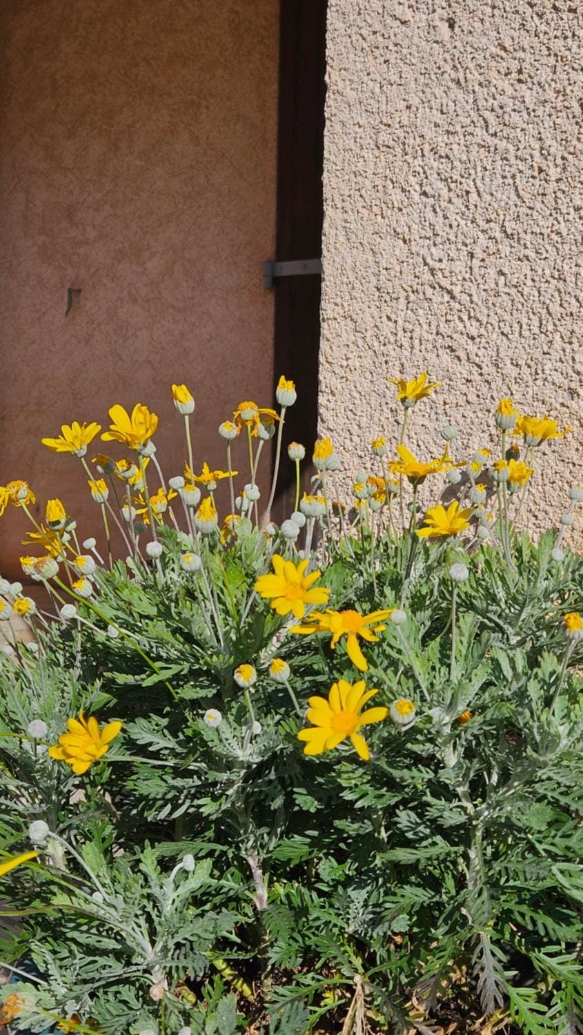 Li Cabanoun, Studios au Soleil Issambres Sainte-Maxime à 3min de la plage à pied Apartment in Sainte-Maxime