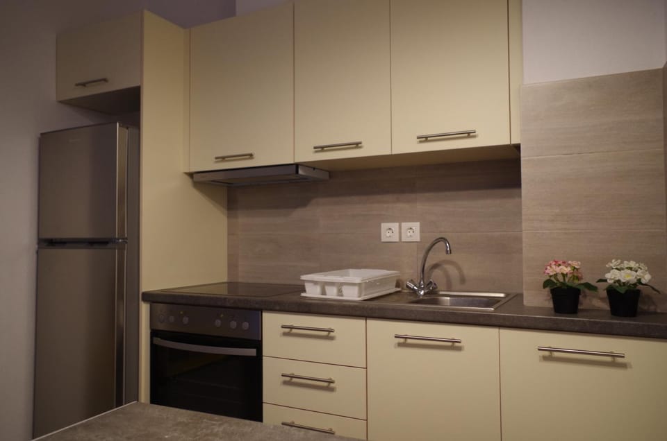 Coffee/tea facilities, Kitchen or kitchenette, stove