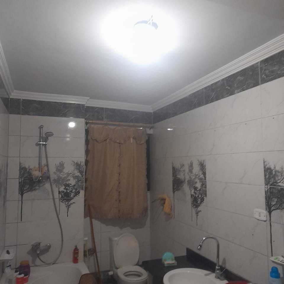 Room with one bed Apartment in Cairo Governorate