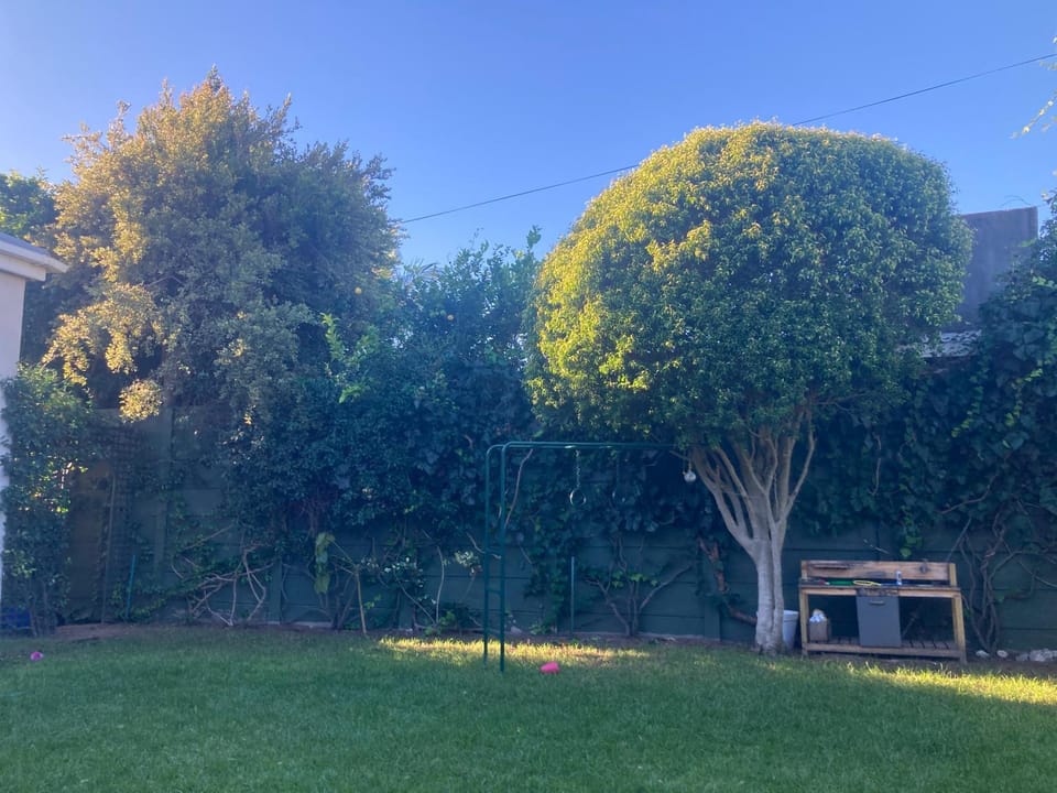 Natural landscape, Garden, Garden view