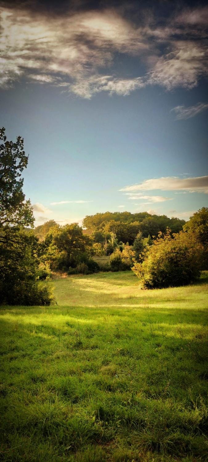 Spring, Day, Natural landscape