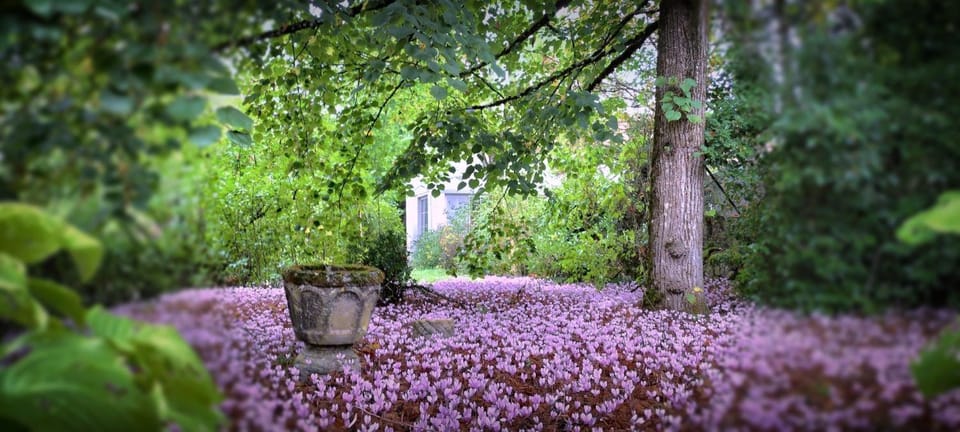Spring, Day, Natural landscape, Garden, Garden view