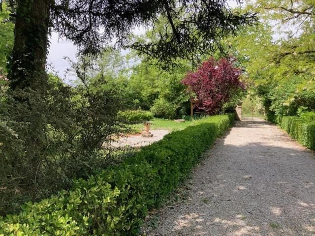 Spring, Day, Natural landscape, Garden, Garden, Garden view