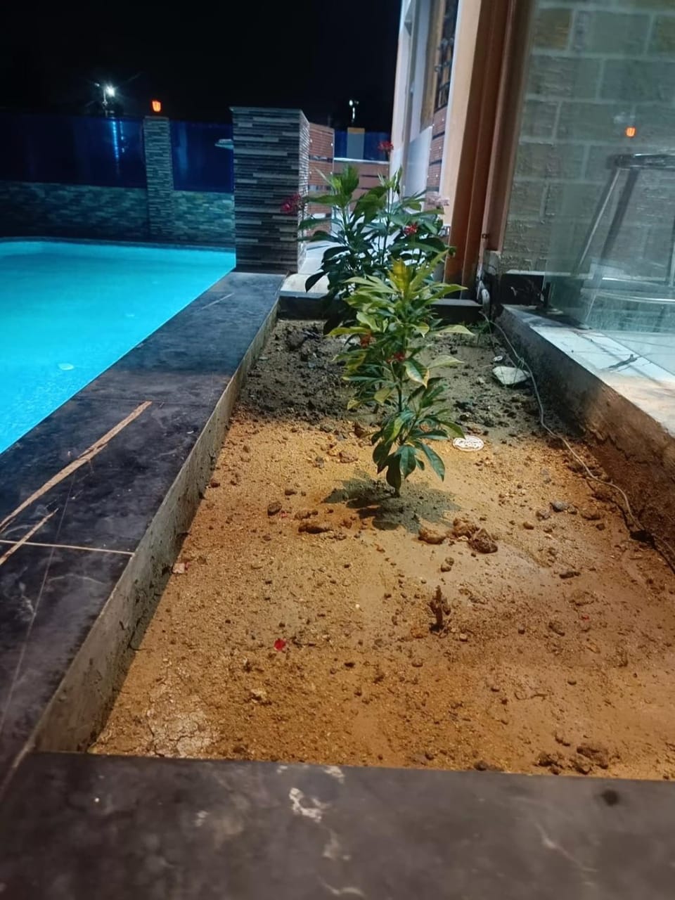 Garden, Swimming pool