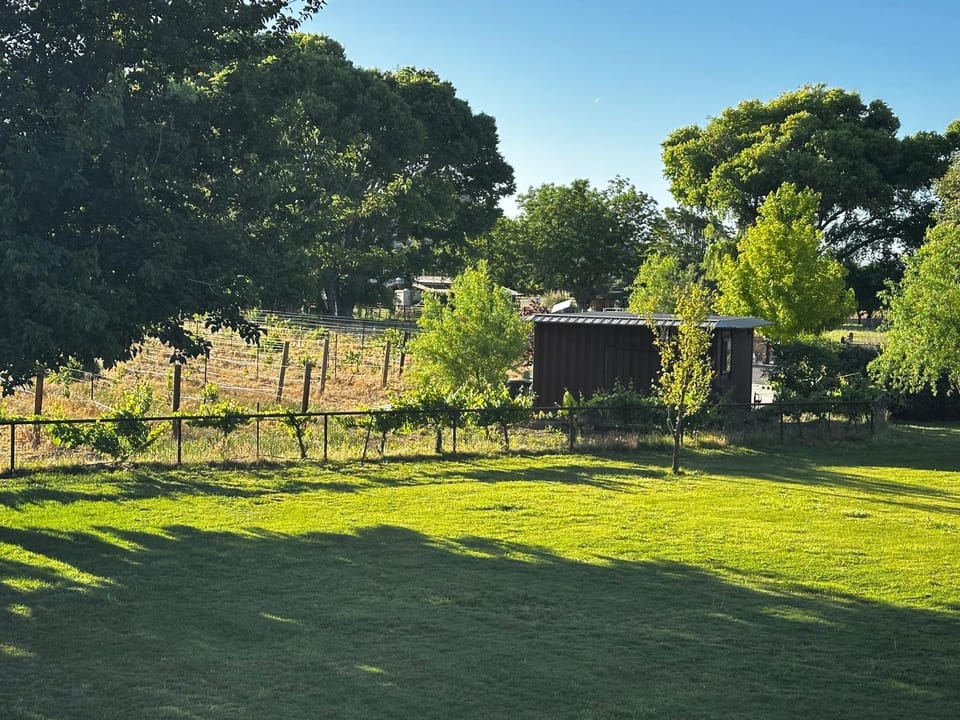 Riesling Retreat Apartment in Cottonwood