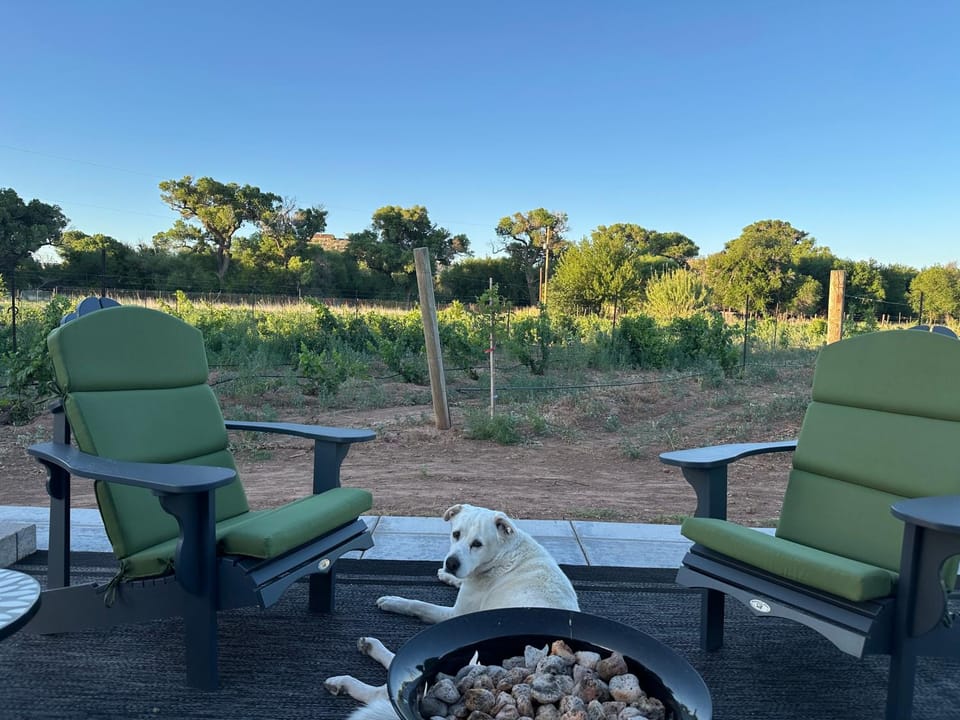 Riesling Retreat Apartment in Cottonwood