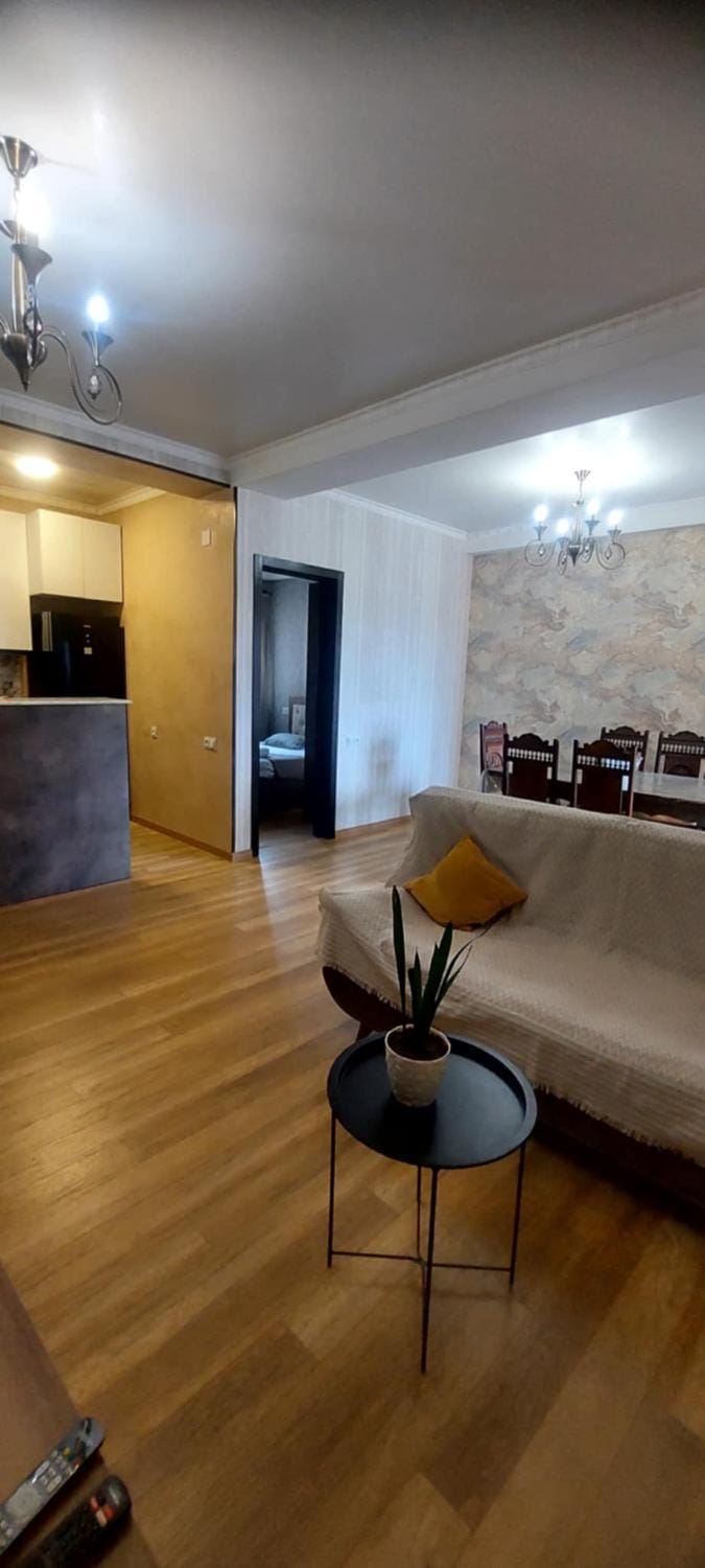 კომფორტული ბინა ცენტრში Apartment in Georgia