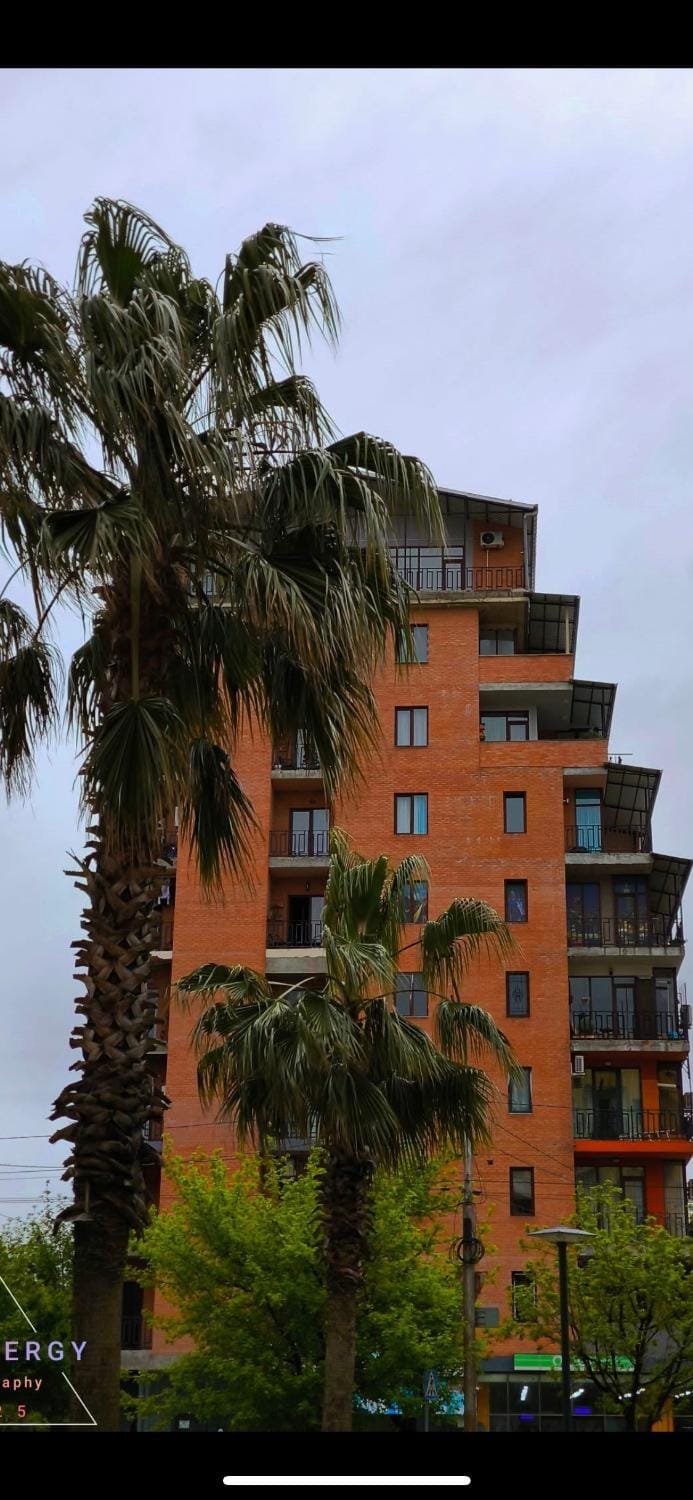 კომფორტული ბინა ცენტრში Apartment in Georgia