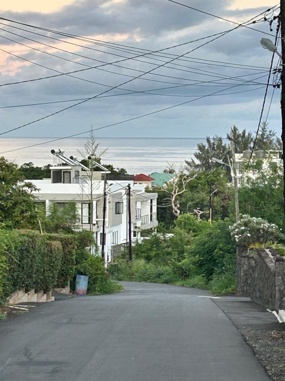 Spring, Neighbourhood, Natural landscape, Street view