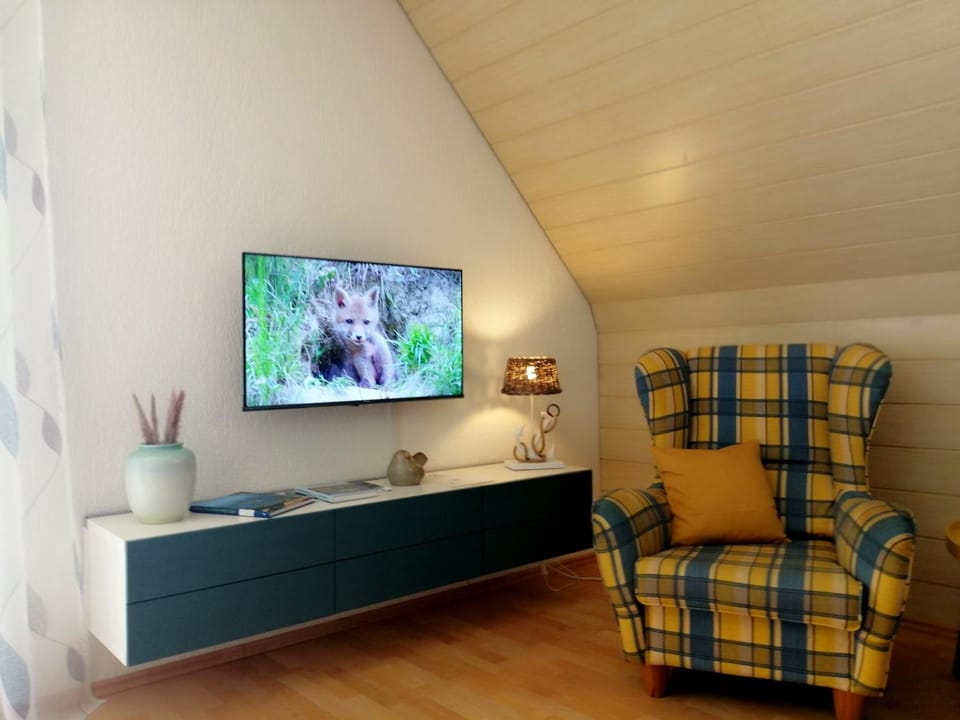TV and multimedia, Living room