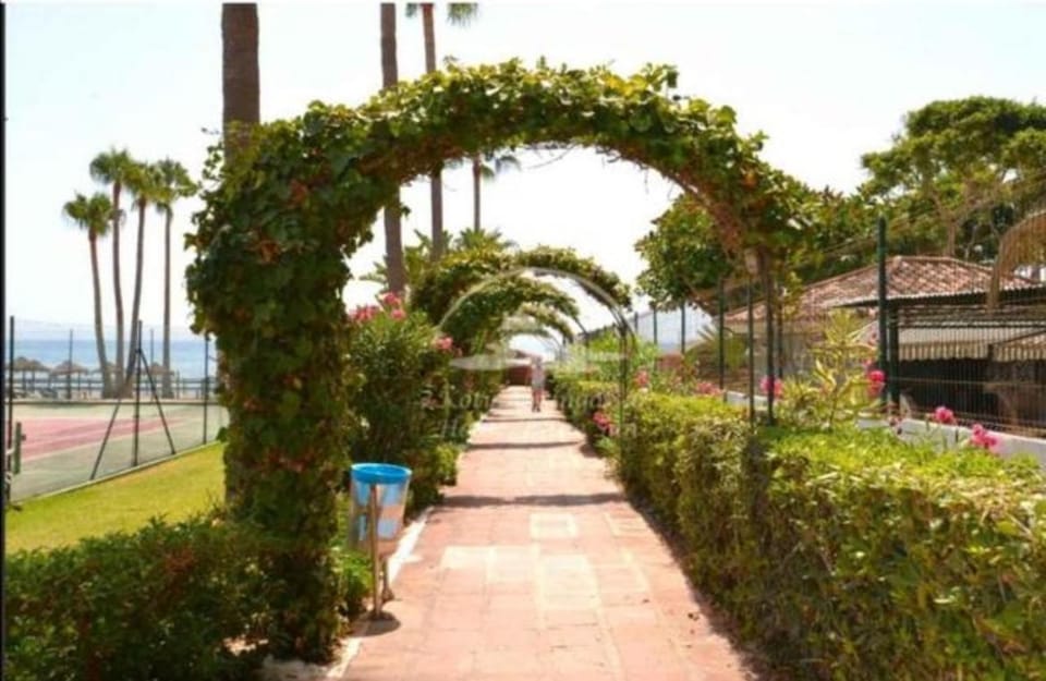 Garden, Garden