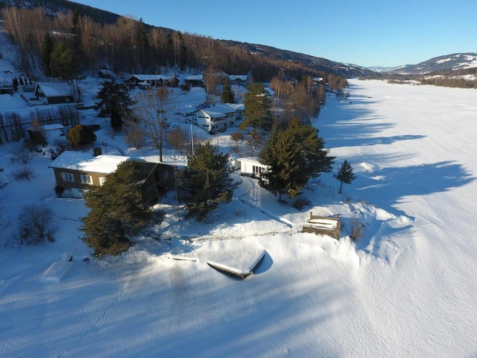 Day, Natural landscape, Winter, Garden, On site