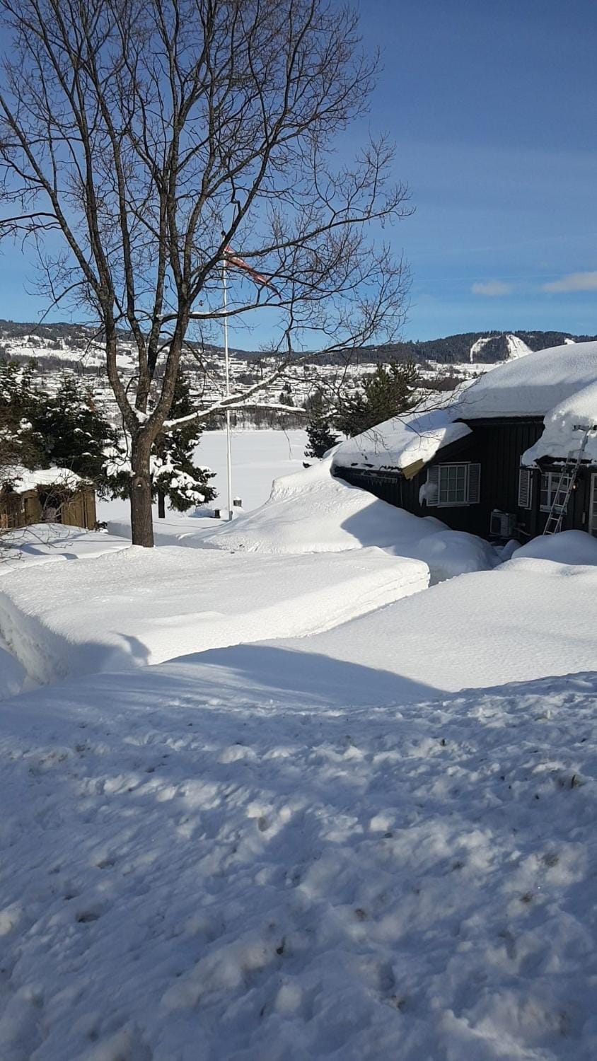Day, Natural landscape, Winter, Garden