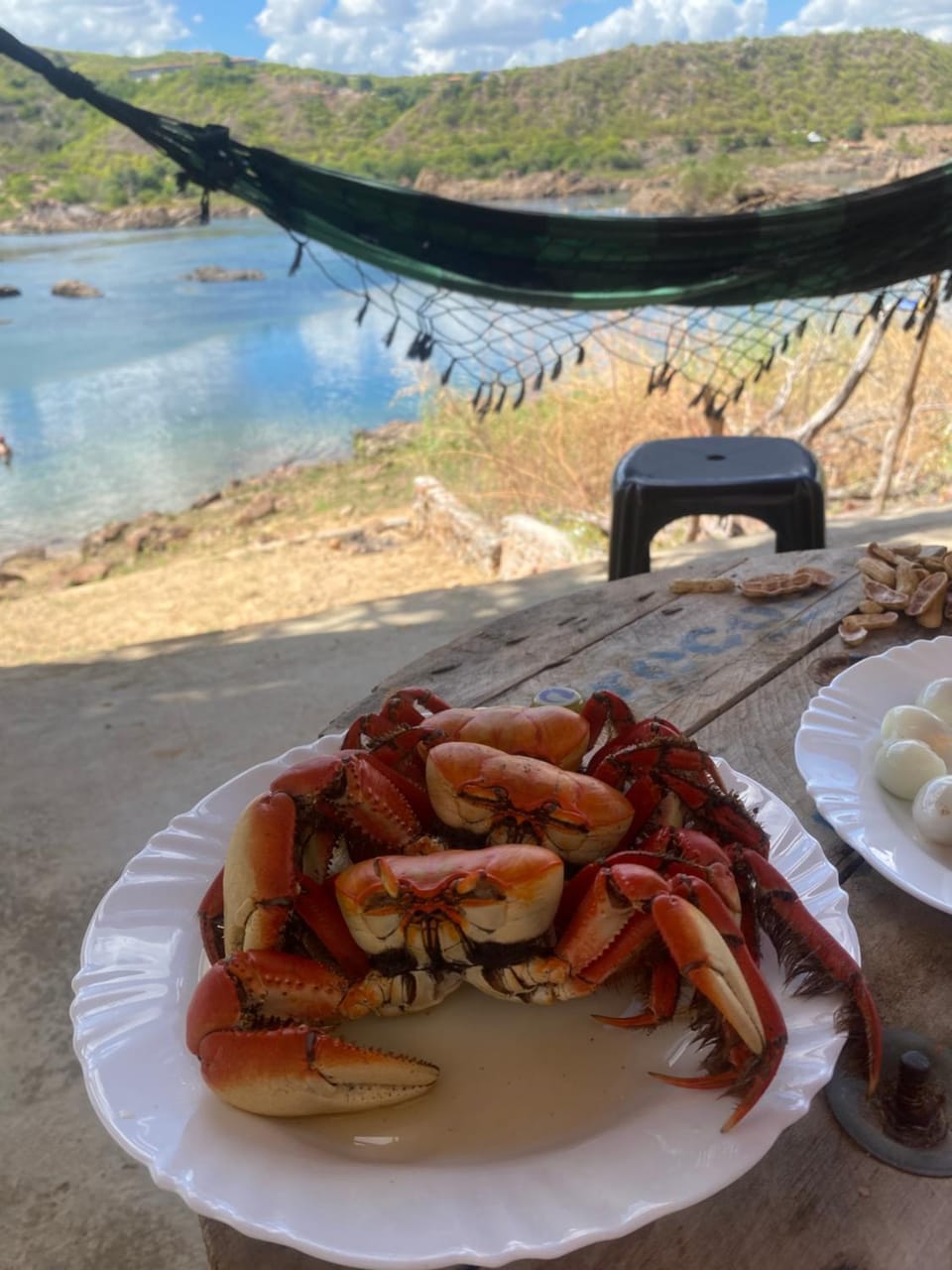 Food and drinks