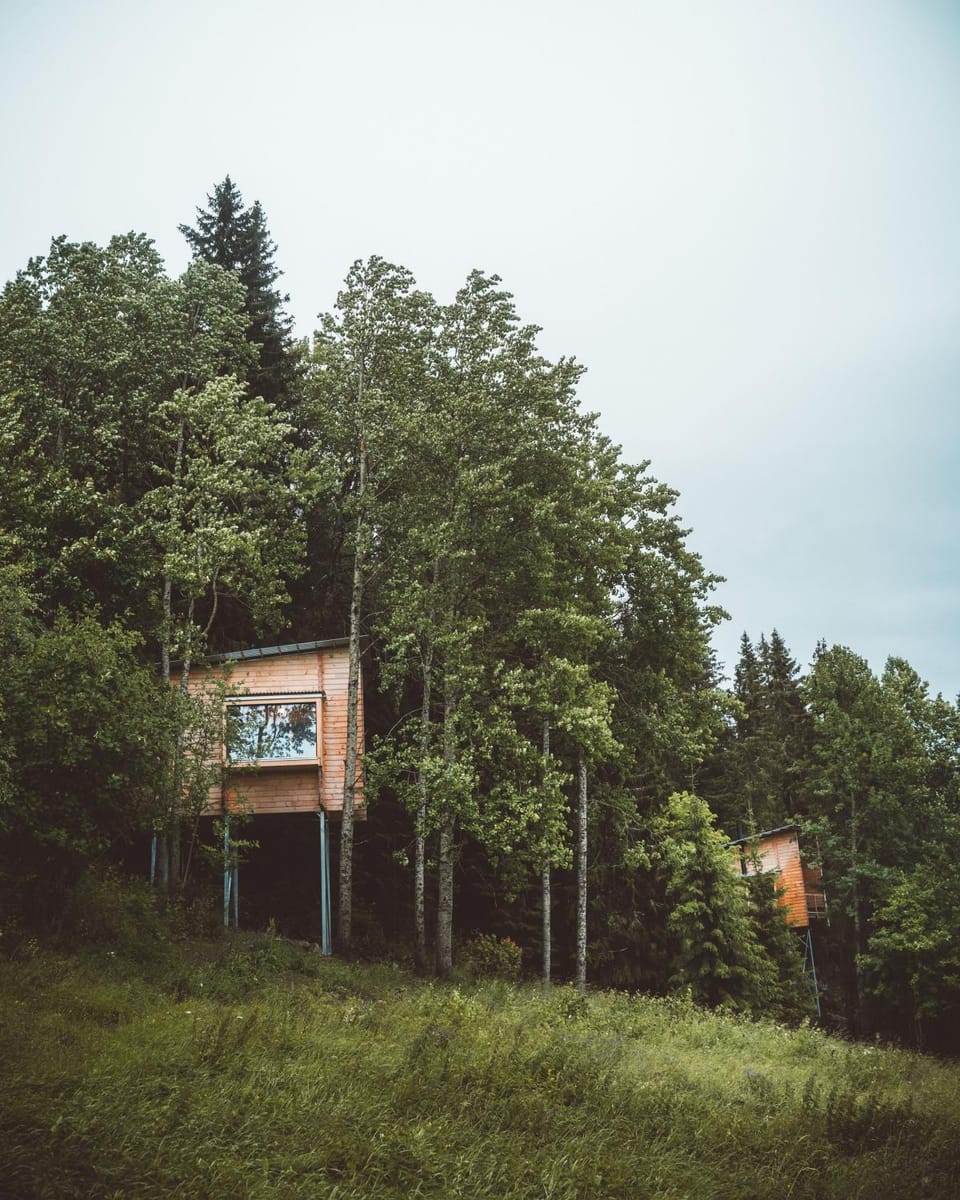 Property building, Natural landscape, Summer
