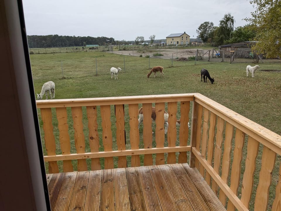 Bauwagen auf der Alpakawiese Campground/ 
RV Resort in Brandenburg