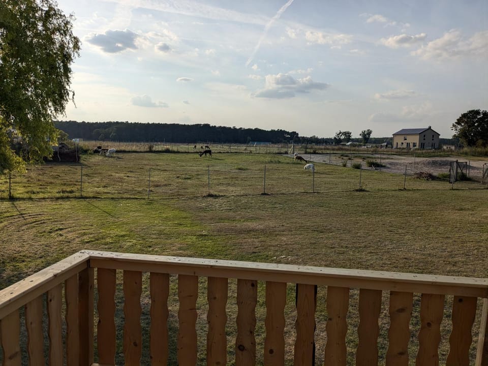 Bauwagen auf der Alpakawiese Campground/ 
RV Resort in Brandenburg
