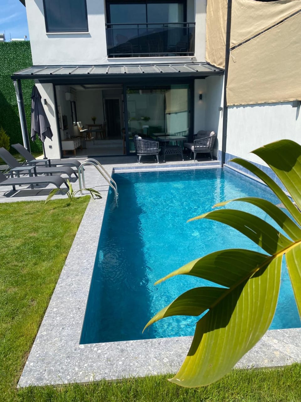 Garden, Garden view, Swimming pool, sunbed