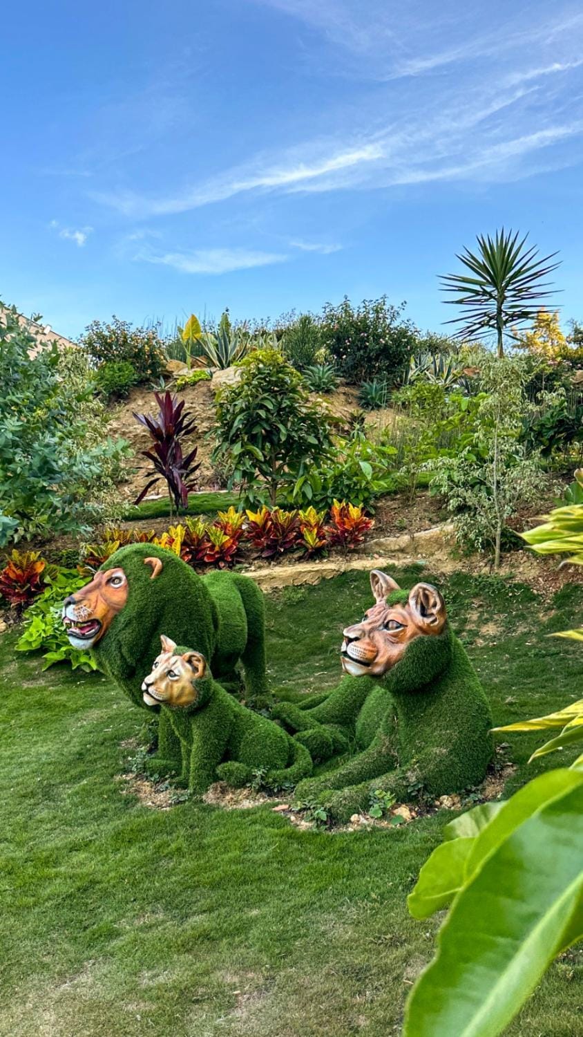 Garden, Garden