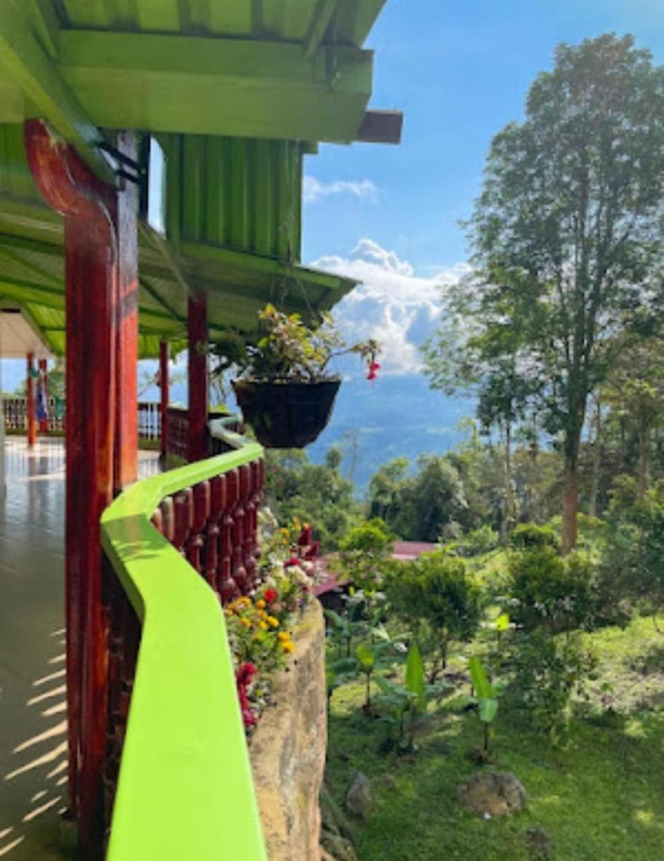 Garden view