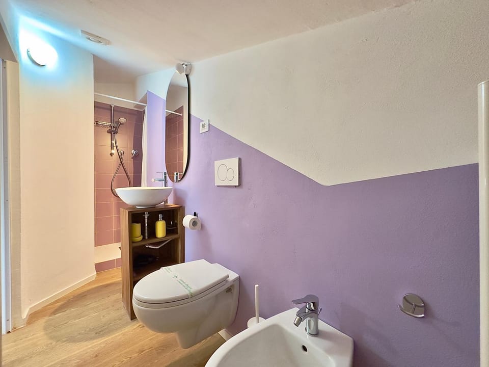 Toilet, Bathroom, bidet
