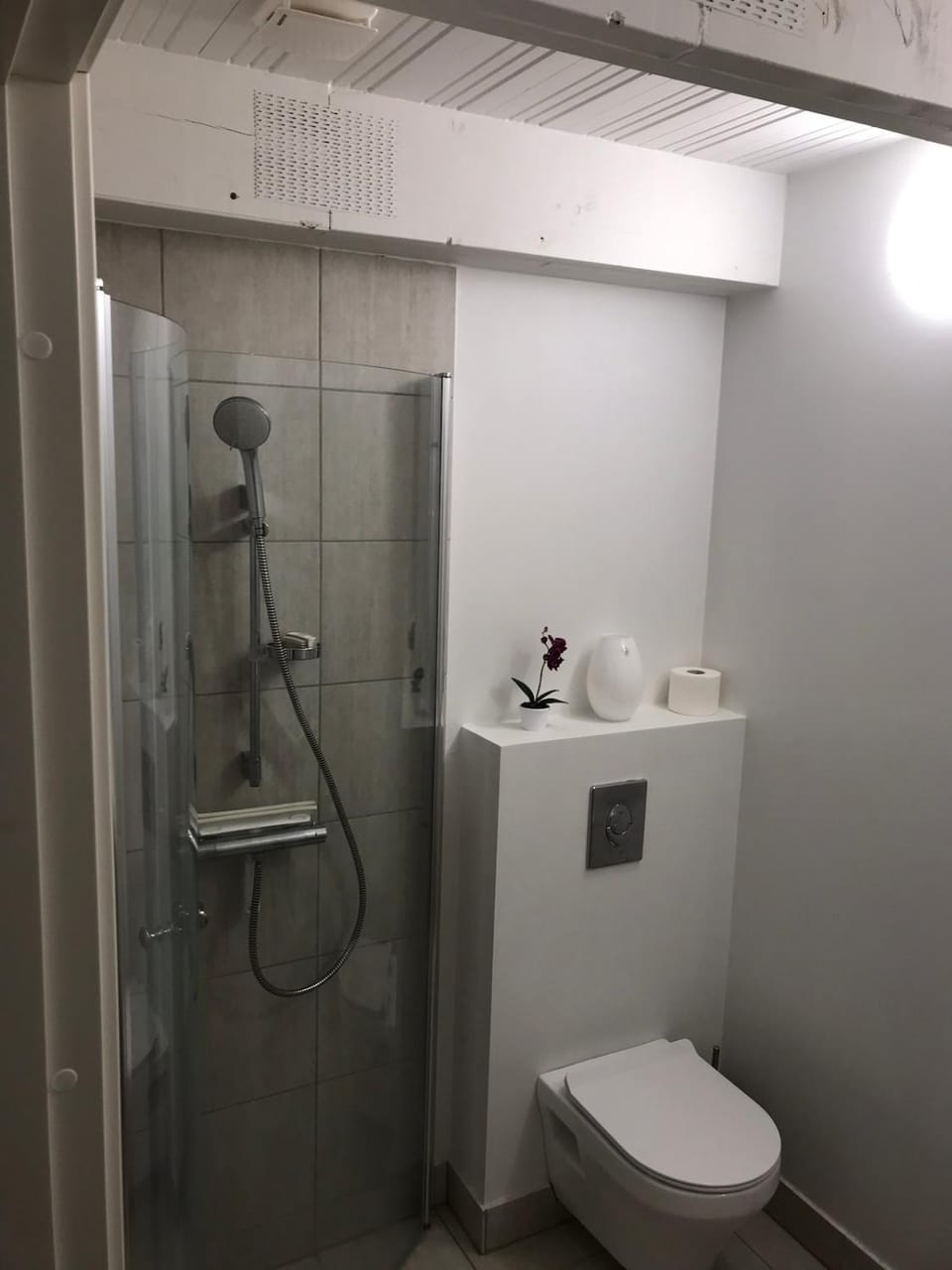 Shower, Toilet