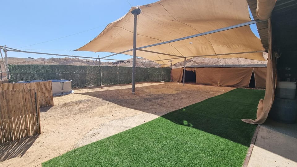 Property building, Patio, Swimming pool
