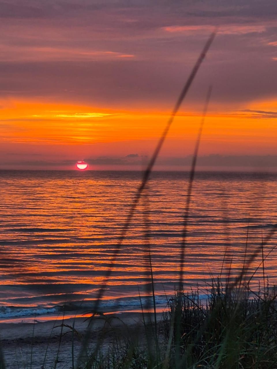 Golden Dunes Apartment Apartment in Palanga