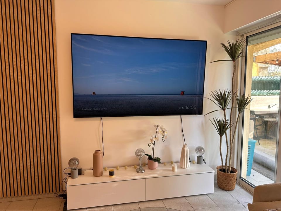 TV and multimedia