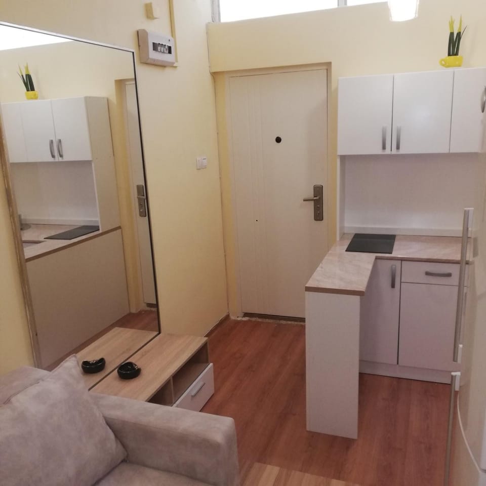 Apartman Biljana Apartment in Novi Sad