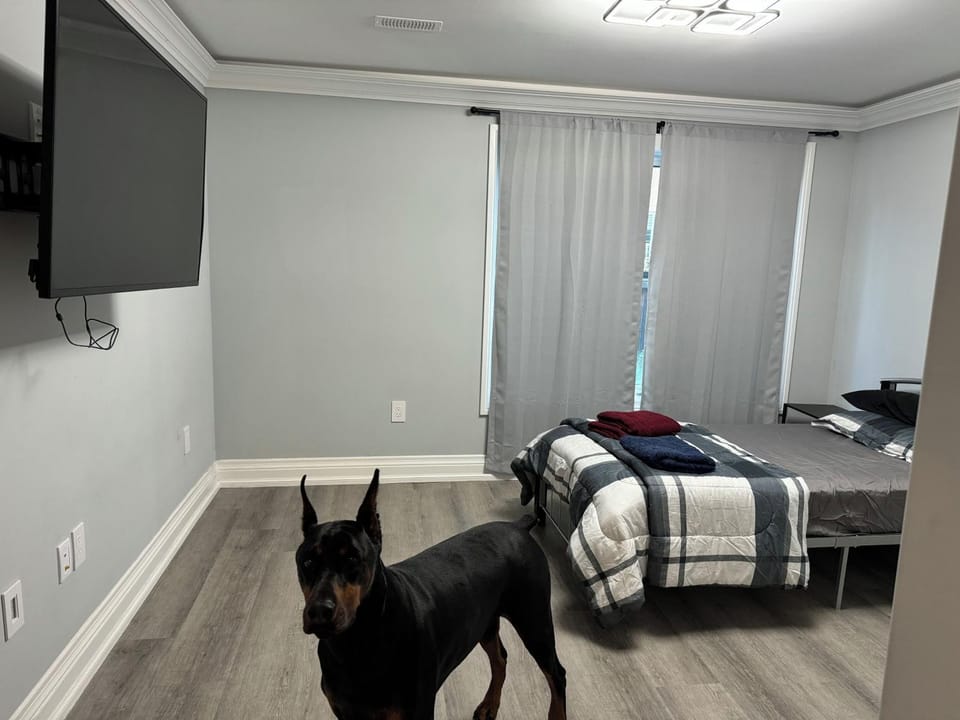 Photo of the whole room, Bedroom