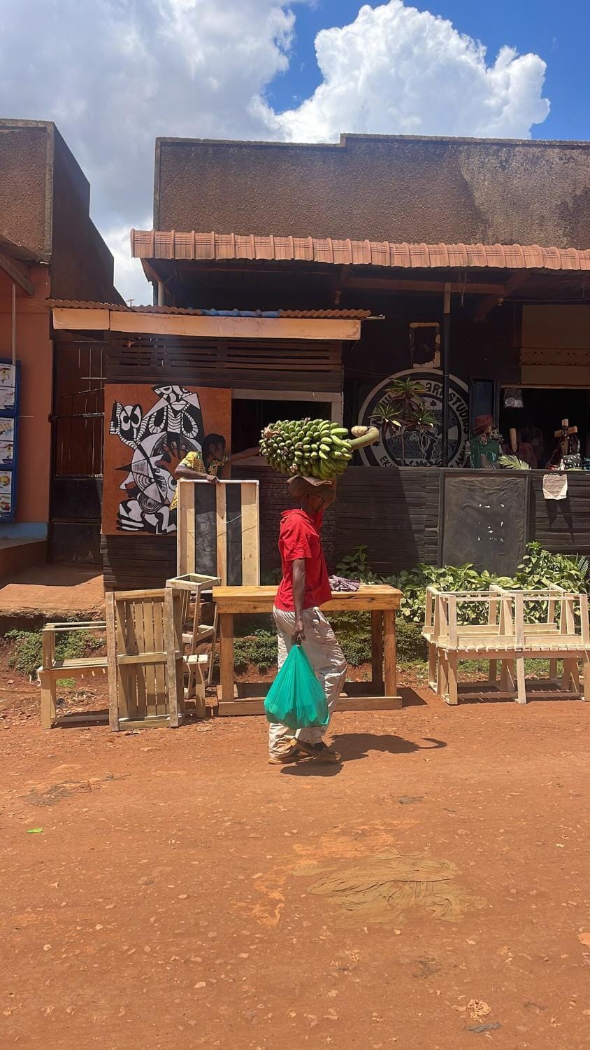 Entire Artist Oasis home House in Kampala