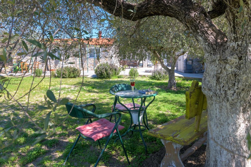 Spring, Day, Natural landscape, Garden, Garden, Dining area, Garden view