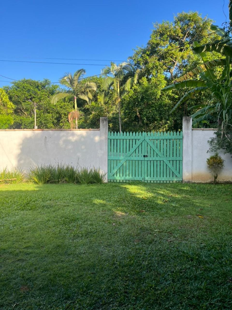 Natural landscape, Garden, Garden view