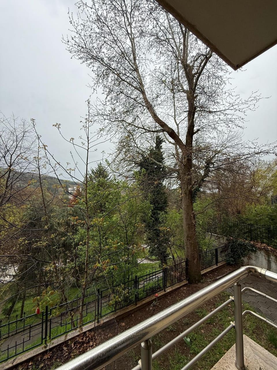Day, Natural landscape, Garden view